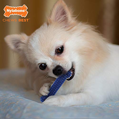 Nylabone Flexi Chew Small Dog Value Pack Dog Toys with Chew Treat, 3 Count - size: X-Small