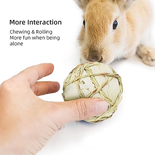 andwe Small Animals Play Balls Rolling Chew Toys, Pack of 4 - size: Pack of 4
