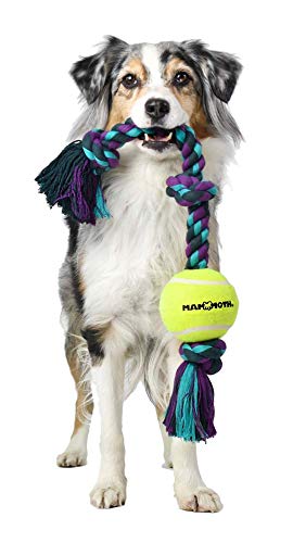 Mammoth Flossy Chews Color 3 Knot Tug w/Standard Tennis Ball – Premium Cotton-Poly Tug Toy for Dogs, Interactive Rope Dog Toy for Medium Dogs - 20” , Multi color - size: Medium (20 in), style: 3 Knot Rope Tug with Tennis Ball