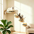 LSCQYYCC- Cat Wall Shelves, Cat Shelf with 3Wide Perch Steps, Modern Floating Cats Stairs for Indoor Sleeping, Playing, Climbing