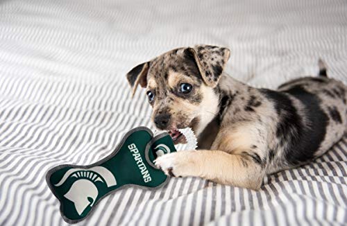 Pets First NCAA Michigan State Spartans Dental Dog TUG Toy with Squeaker. Tough PET Toy for Healthy Fun, Teething & Cleaning Pets Teeth & Gum - color: Michigan State Spartans