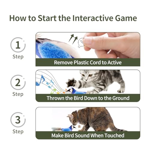 Interactive Cat Toys for Indoor Cats,Catnip and Feather,2Pcs - style: 2 Pack birds