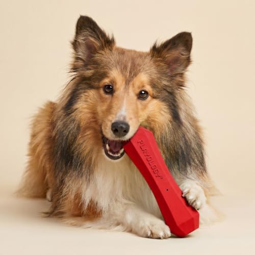 Playology Squeaky Chew Stick - Scented Dog Toy - Medium, Beef Scent - size: Medium, style: Beef