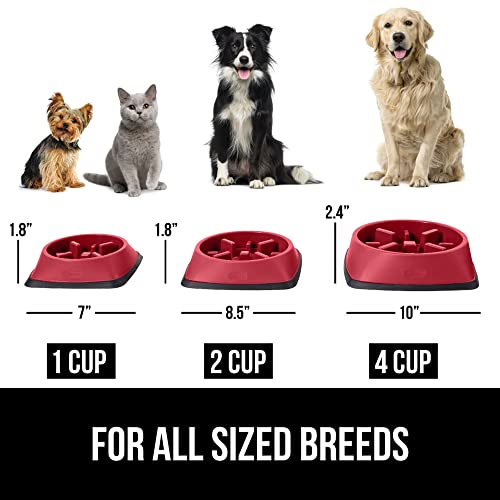 GORILLA GRIP® Patented Slow Feeder Dog and Cat Bowl, BPA Free, 1 Cup Red - color: Red, size: 1 Cup