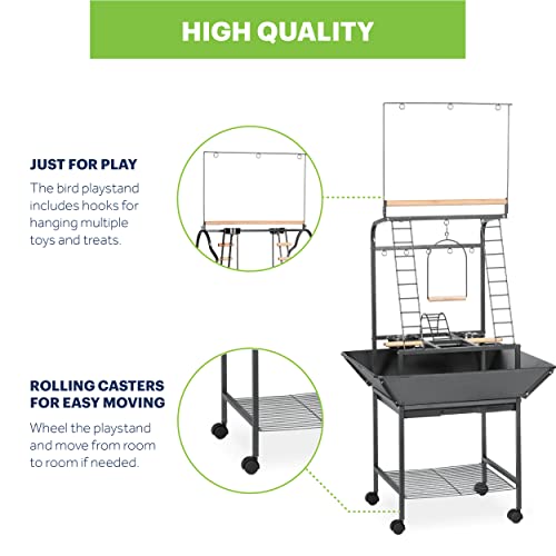 Prevue Pet Products Parrot Play Stand with Wheels - Black - size: Small