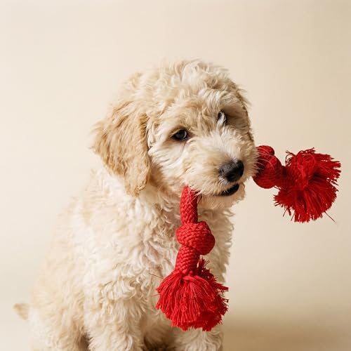 Playology Tug Rope Dog Toys for Medium Dogs - Medium, Beef Scent - size: Medium, style: Beef