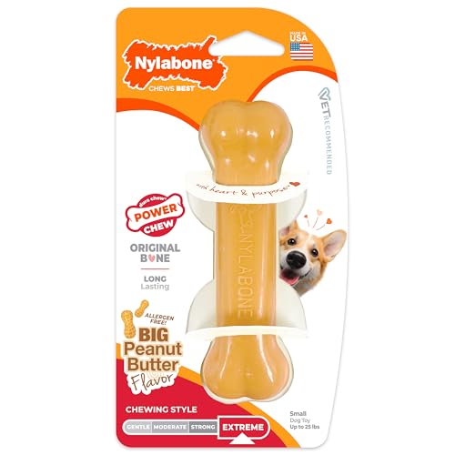 Nylabone Power Chew Original Bone Chew Toy, Peanut Butter Flavor, Small - size: Small
