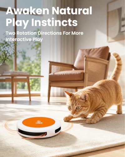 Automatic Interactive Cat String Toys for Indoor Cats