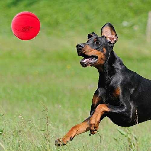 Nerf Dog Classic Squeak Ball Outdoor Dog Toy, 3.8 Inch Dog Ball Fetch Toy, Squeaking Toy for Medium and Large Breeds, Green/Red, 2 Count - color: Green/Red, size: 1 Count (Pack of 2), style: 2-Pack