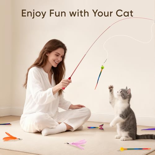 Cat Toys for Indoor Cats, 13 Packs Interactive Cat Wand Toy Set with Feather＆Ribbon Refills, Feather Toys for Exercise, Playtime and Boredom Relief with Kitten - size: 13 Packs B
