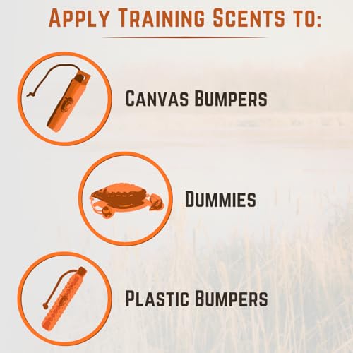 Game Training Scents for Hunting Dogs - Field-Train Your Dog to Track and Retreive for Upland Hunts - size: Scent Kit, style: Quail