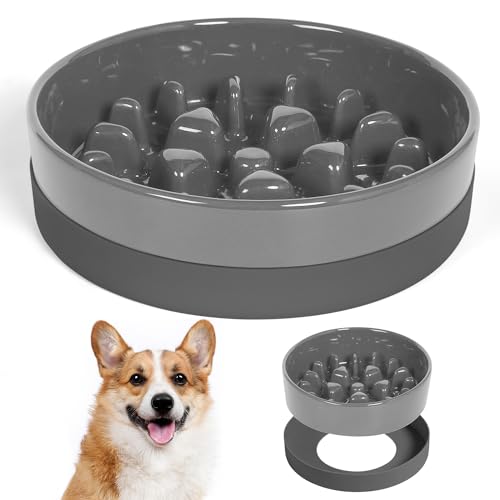 Sted Ceramic Slow Feeder Dog Bowls with Silicone Base - color: Grey, size: Medium-8 inches