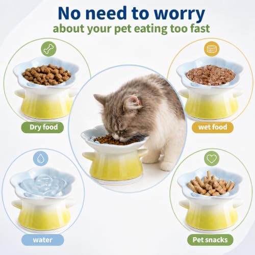 Slow Feeder Cat Bowl with Anti Slip Padfor Dry and Wet Food