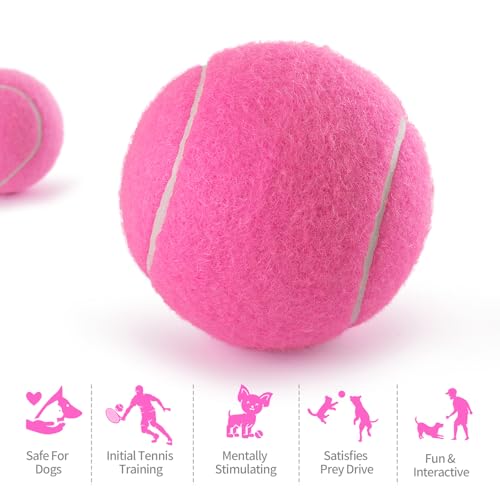 PHOEPET 6-Pack Tennis Balls for Beginner Training Practice- Bulk Dog Balls - color: Pink-6 Pack, size: Medium 2.5"- 6 Pack