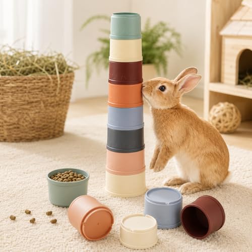 Colorful Stacking Cups Foraging Training Games & Puzzles Rabbit Toy, 8 Count (Colorful) - color: Colorful