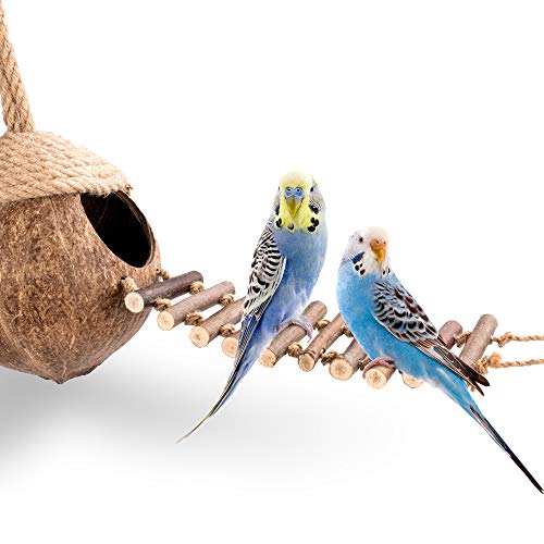 andwe Coconut Bird Nest Hut with Ladder