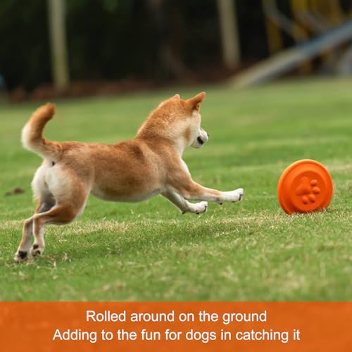 NAITELI Flyer-Soft Flying Disc Fetch Toy,for Small Dogs(Blue,S) - color: Blue, size: Small