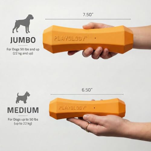 Playology Squeaky Chew Stick - Scented Dog Toy - Medium, Cheddar Scent - size: Medium, style: Cheddar Cheese