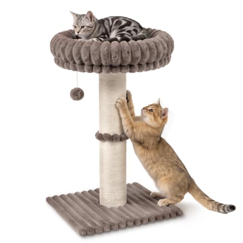 Avont Modern Cloud Cat Scratching Post with Perch for Indoor Adult Cats - color: Taupe
