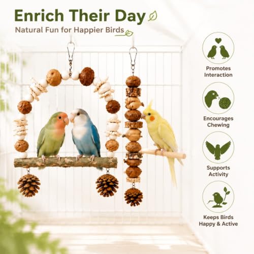 2 Pack Natural Bird Toys for Parakeets, Bird Chew Toys with Wooden Perch HangingToy, Natural Wood Beads, Pine Cone, Corn Husk, Cuttlebone and Fruit Materials for Budgies, Cockatiels and Small Parrots