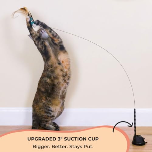 Whiskertons Interactive Bird Simulation Cat Toy Set, Interactive Cat Toys for Indoor Cats, Cat Feather Toy, Self-Holding Suction Cup, 5 Catnip Birds, Feathers, Bells (Catnip Bird Toy Set with 5 Birds)