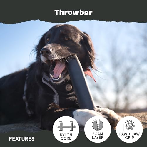 BarkBox Throwbar Super Chewer - Toy for Medium to Large Dogs - color: Throwbar-Medium to Large