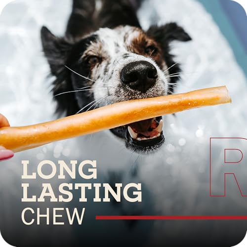 Redbarn Natural Large 12" Beef Collagen Braids - 2 Pack - Long Lasting Low-Odor Alternative to Rawhide & Bully Sticks -Single Ingredient Chew for Medium Large Dogs - size: Large 12" (2 Count)