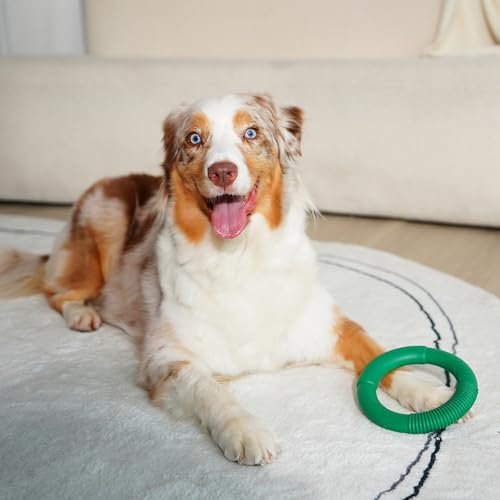 Green Sheep Natural Rubber Ring Dog Chew Toy, Durable Chew Toys for Small to Large Dogs, Tough Dog Toys for Medium & Big Dogs, Puppy Teething Toys - color: Green Ring