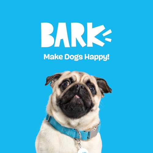 BarkBox Hide N' Squeak Dumpster Fire Dog Toy - 3-in-1 - color: Dumpster Fire