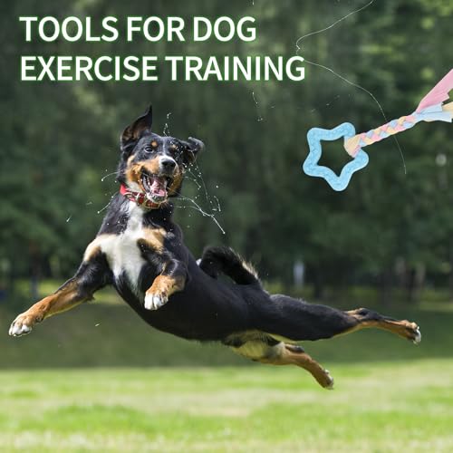 6 PCS Puppy Chew Toys for Teething Small Breed, Puppy Teething Ring, Soft Rubber Durable Dog Teething Toys, Rope Dog Toys, Funny Interactive Toy, Puppy Toys for Small Puppies, Dog Toys Set (Style 4) - color: Style 4