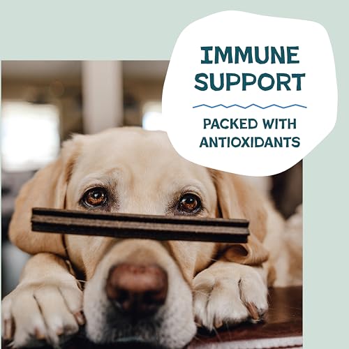 Shameless Pets Blueberry & Mint Dental Chews for Dogs, 8 Chews - size: 7.2 Ounce (Pack of 1)