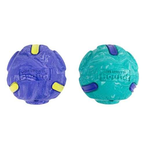 Outward Hound FlyFetch Rubber Fetch Ballz Dog Toy, Bounces & Floats, Launcher Compatible, 2.6", 2-Pack