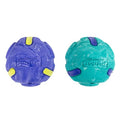 Outward Hound FlyFetch Rubber Fetch Ballz Dog Toy, Bounces & Floats, Launcher Compatible, 2.6", 2-Pack