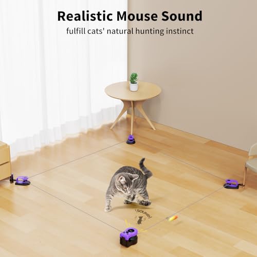 AsFrost Interactive Cat Toy for Indoor Cats Chase/Run/Hunt/Exercise-Purple - color: Elegant Purple