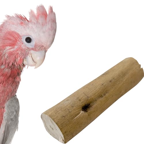 5514 Bark Sola Logs, 4 Pk - Natural Wood Bird Shredding Foot Toys with Bark - color: Sola Logs with Bark, size: Pack 4