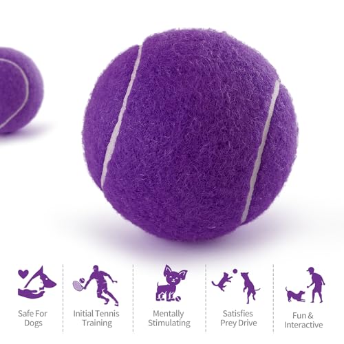 PHOEPET 6-Pack Tennis Balls for Beginner Training Practice- Bulk Dog Balls - color: Purple-6 Pack, size: Medium 2.5"- 6 Pack