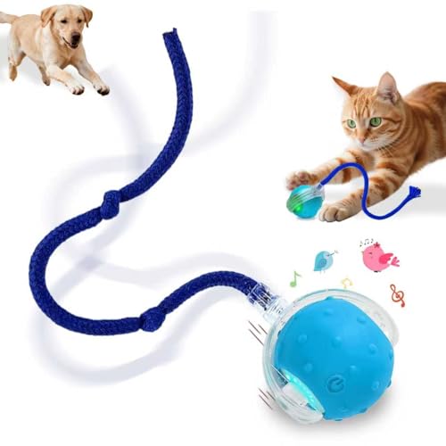 Interactive Cat Toys Smart Ball for Cats & Dogs! Now with 2 Rapid Tails. Features: 360°Auto-Rolling, Motion Activation& Bird Sounds. Perfect for Indoor Pet Exercise & Fun. (Blue) - color: Blue