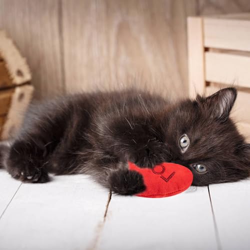 6pcs Valentine's Day Heart Catnip Toy，Valentines Indoor Heart Shaped Cat Toy Plush Interactive Chew Bite Toys for Cat Kitten Indoor Festive Holiday Cat Lover Gift - color: Heart