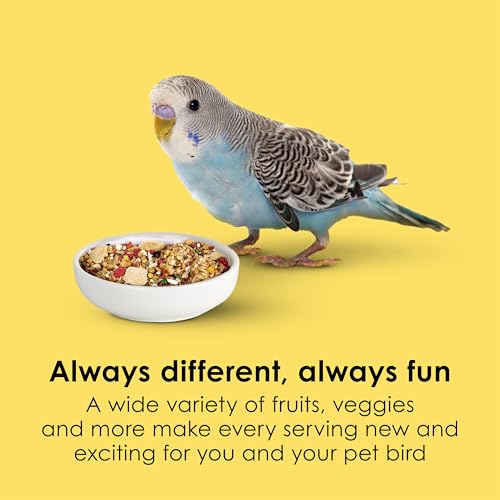 Kaytee Fiesta Parakeet Food, Nutritious and Fun Blend, 15 Pounds - size: 15 Pound (Pack of 1)