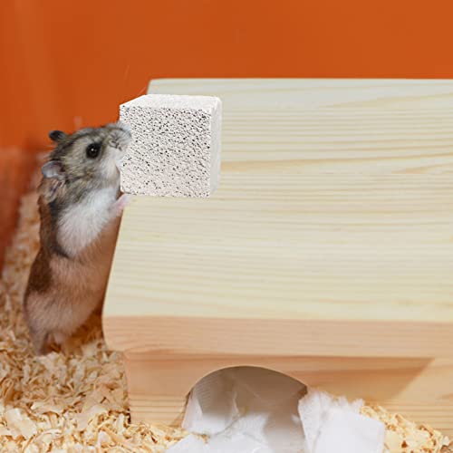 kathson Natural Rabbit Teeth Grinding Stones,15 Pcs Chinchilla Teeth Grinding Toys Lava Stone for Rabbits Hamster Chew Stones Small Animal Mineral Calcium Lava Blocks for Chinchillas Guinea Pig Rat