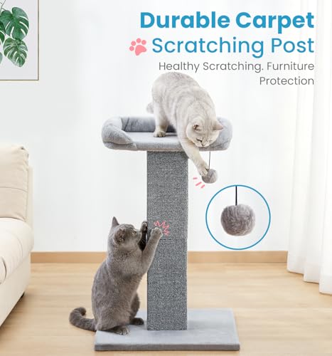 Made4Pets 32" Carpet Cat Scratching Post with Bed for Indoor Cats, Grey