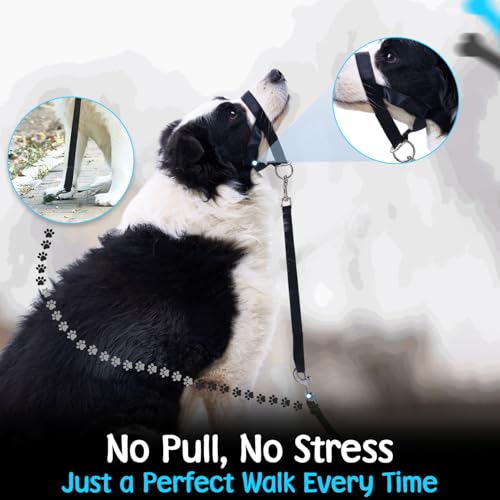 Gentle Leader for Dogs + 2X Free Training Clicker - Essential Gentle Leader - size: XL