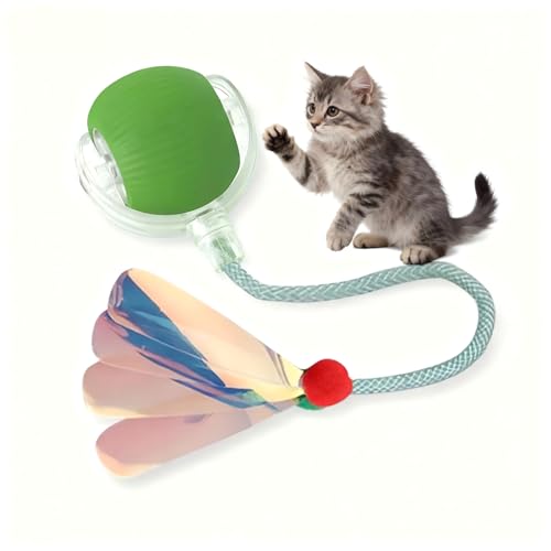Interactive Cat Toy for Indoor Cats - Automatic Cat Toy Ball with Tail, Self Moving Electric Kitten Toys, USB Rechargeable Smart Rolling Ball, Motion Activated Cat Enrichment Toys for Bored Cats Green - color: Green