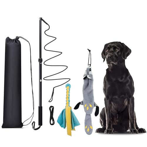 Flirt Pole Dogs, Dog Chase Toy with Squeakers Inside, Dog Fishing Pole Toy for Large Medium Small Dogs to Keep the Puppy Entertained and Physically Exhausted, Rope+Beaver - style: Rope+Beaver