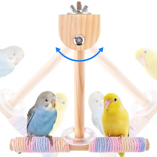 Bissap Shake Bird Perch Toy, Wooden Hanging Stand for Small Medium Parrot