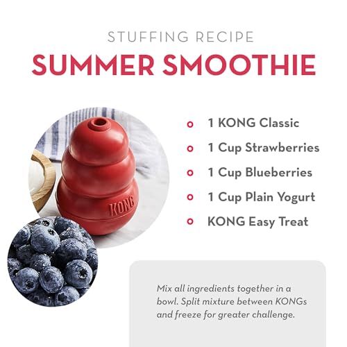 KONG Classic Toy and Easy Treat Peanut Butter Spray, 14 oz, Medium Dogs
