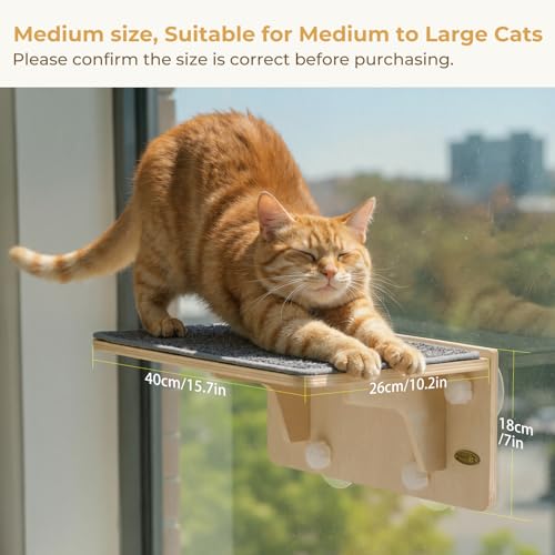 Pecute 2-in-1 Cat Window Perch & Wall Shelves, Cat Hammock Window 16"x10" - size: 15.7"L x 10.2"W