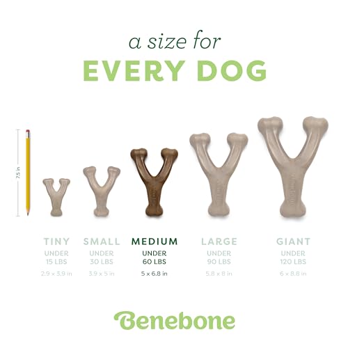 Benebone 2-Pack Wishbone Toy for Aggressive Chewers, Real Bacon, Medium - size: 2 Pack - Medium