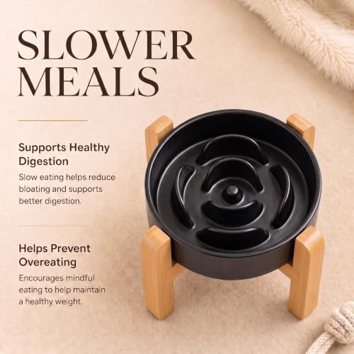 Elevated Ceramic Slow Feeder Dog Bowls Anti-Choking Slow Feeding for Small&Medium Size Anti-Slip Non-Lead & Toxic Durable Easy to Clean Maze Slow Feeder Bowl（8.26in Black Flower Pattern） - color: Black Flower Pattern, size: 1.6Cup