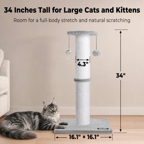 34"Tall Cat Scratching Post for Large Cats, Stable Base, Light Gray - color: Light Gray